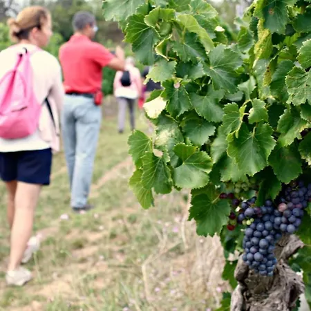 Confort ! Climatisation, Centre-ville, Parking, Terrasse, Wifi, Netflix Lejlighed Carcassonne