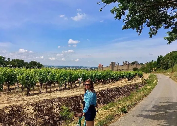 Confort ! Climatisation, Centre-ville, Parking, Terrasse, Wifi, Netflix Carcassonne
